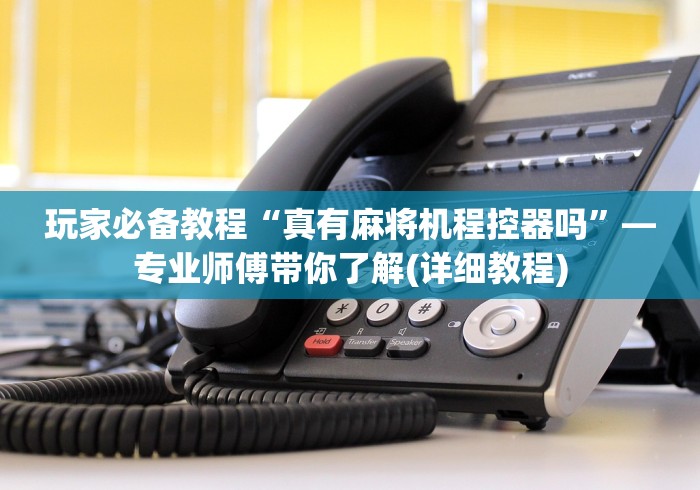 玩家必备教程“真有麻将机程控器吗”—专业师傅带你了解(详细教程)