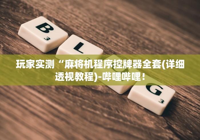 玩家实测“麻将机程序控牌器全套(详细透视教程)-哔哩哔哩！