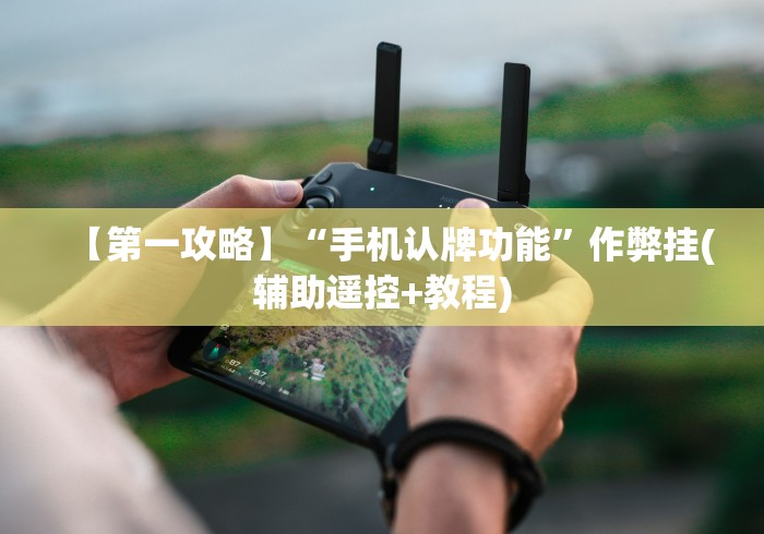 【第一攻略】“手机认牌功能”作弊挂(辅助遥控+教程)