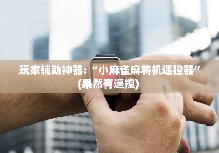 玩家辅助神器:“小麻雀麻将机遥控器”(果然有遥控) 