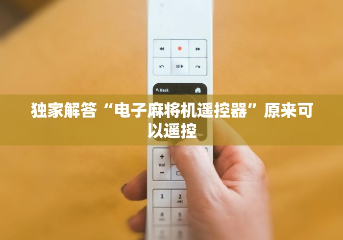 独家解答“电子麻将机遥控器”原来可以遥控