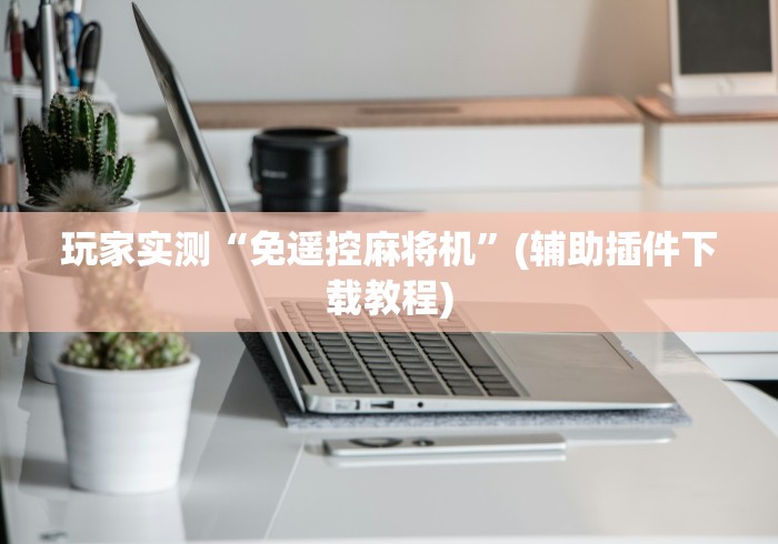 玩家实测“免遥控麻将机”(辅助插件下载教程)